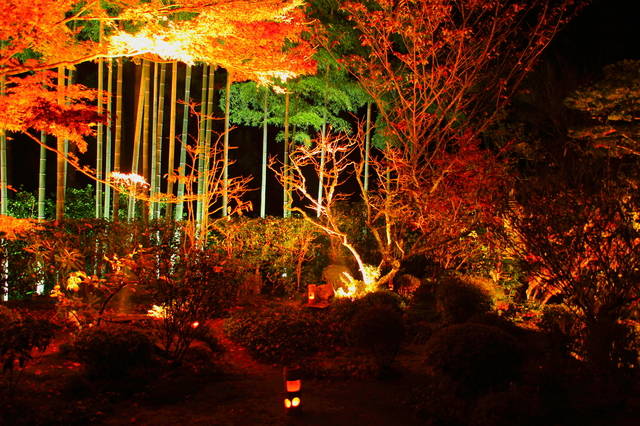 ≪2019年秋≫京都の紅葉ライトアップ穴場スポット10選！混雑を避けてゆっくり夜の散策を
