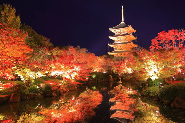 ≪2019年秋≫京都の紅葉ライトアップ人気スポット10選！フォトジェニックな古都の夜