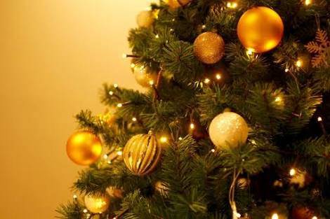 狭い場所でも飾れる♡おしゃれなクリスマスツリー10選！選び方のコツと上手な収納方法も♡