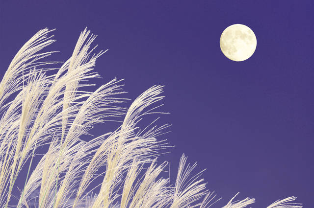 秋に読みたい「お月さま」の絵本10選！2019年のお月見に最適な日程もまとめてご紹介！