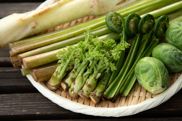 春野菜を使った絶品レシピ10選！香りと苦みが魅力！解毒＆抗酸化作用で健康と美肌を目指そう！